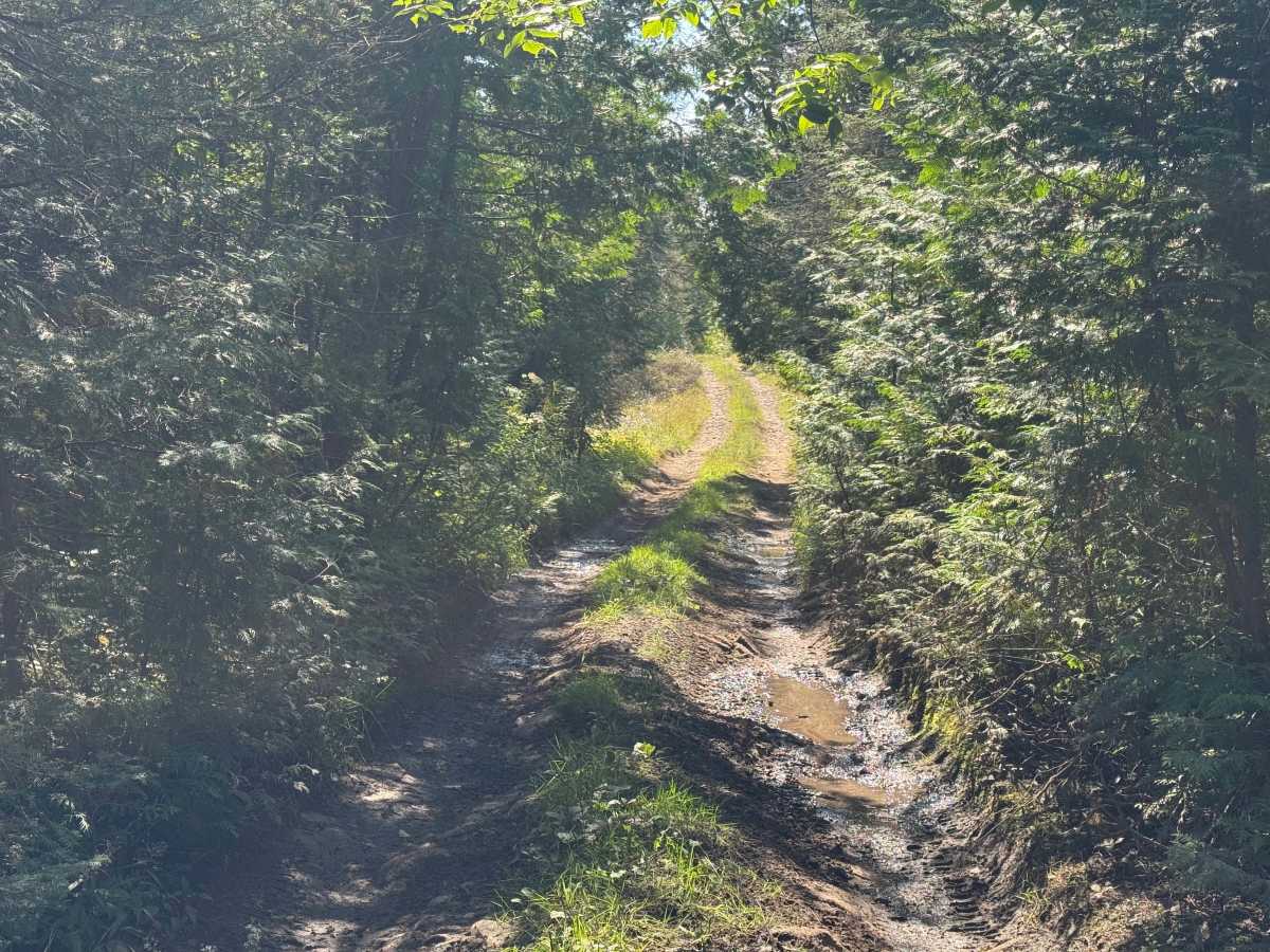 Reynolds Bay Trail photo 2