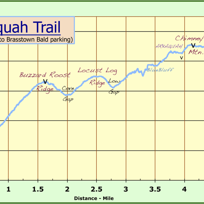 Near Arkaquah Trail