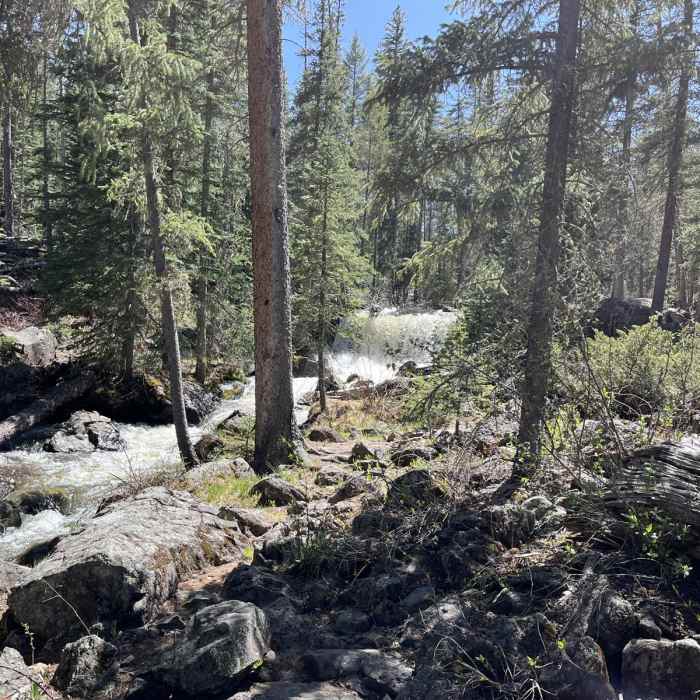 Near Government Spring - West Fork Trail 94 Loop Near Government Spring - West Fork Trail 94 Loop