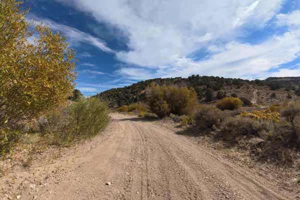 Masonic Gulch