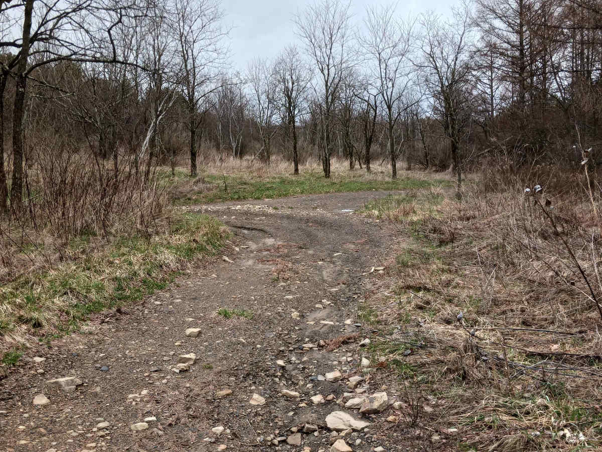 Trail 4P - Rock Run Recreation Area trail photo