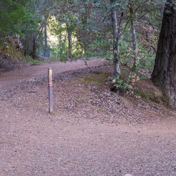 Near Waterfall Loop Nature Trail Near Waterfall Loop Nature Trail