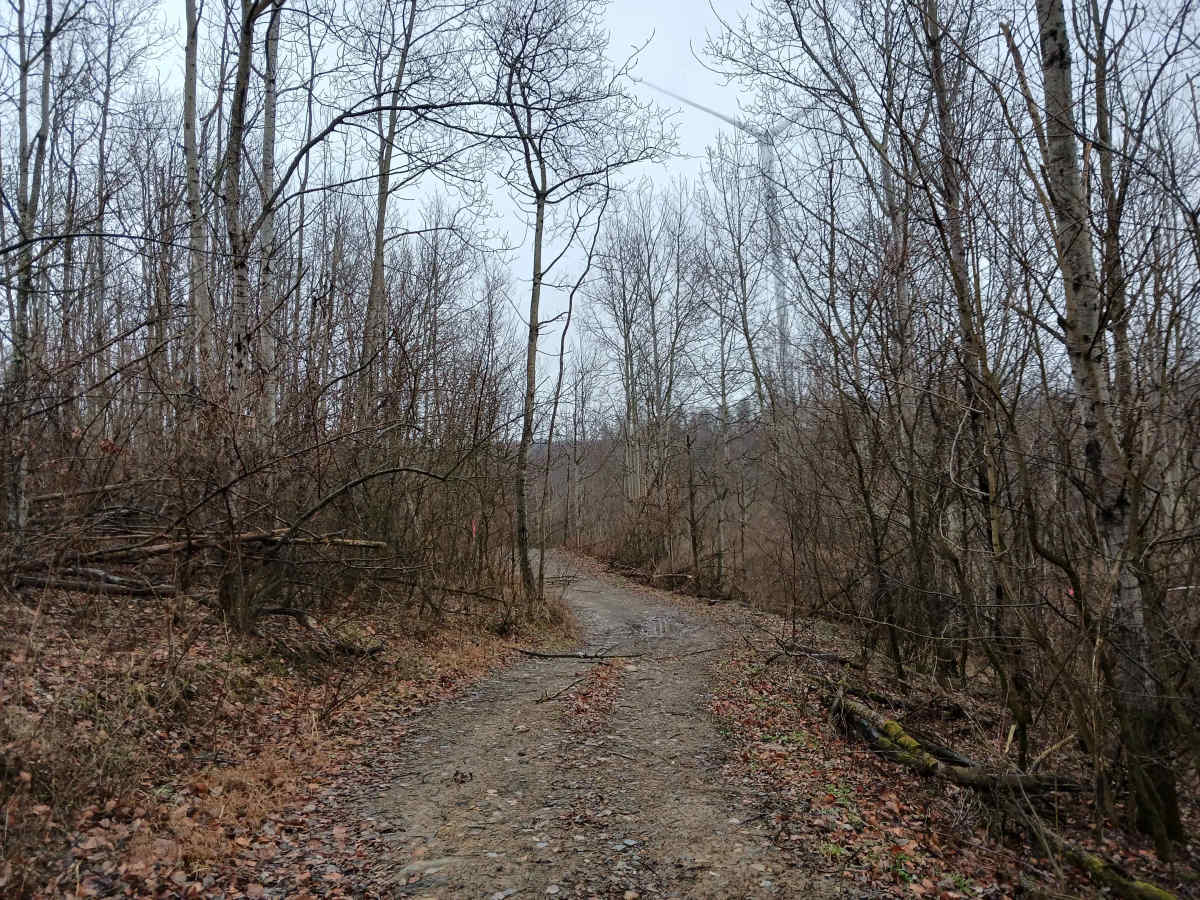 Rouge's Path - Rock Run Recreation Area photo 5