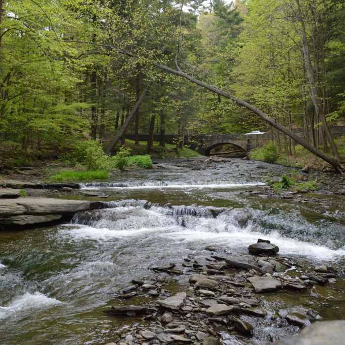 Near Letchworth West Gorge Trail Near Letchworth West Gorge Trail