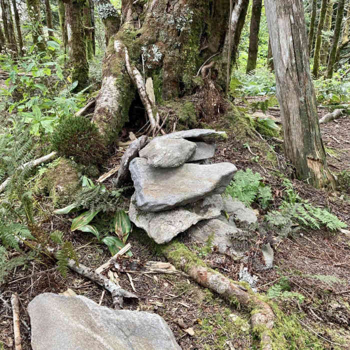 Near Blackstock Knob Near Blackstock Knob