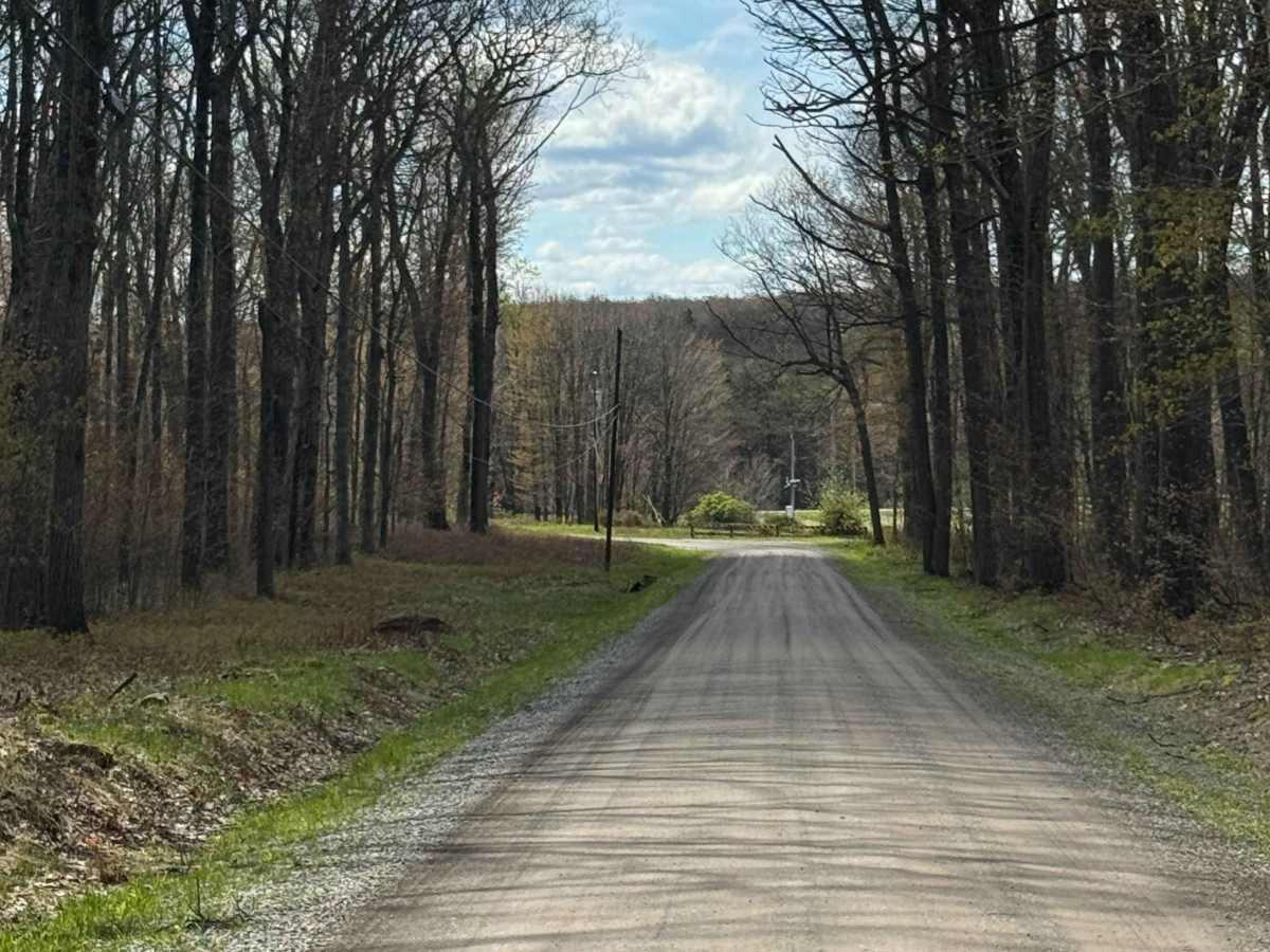 Kennedy Preserve Road photo 3