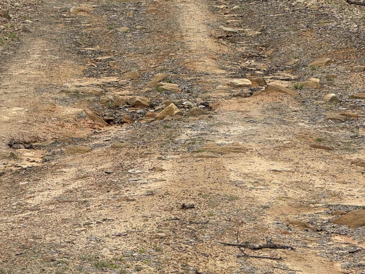 Hemlock Run - FS 267 photo 6