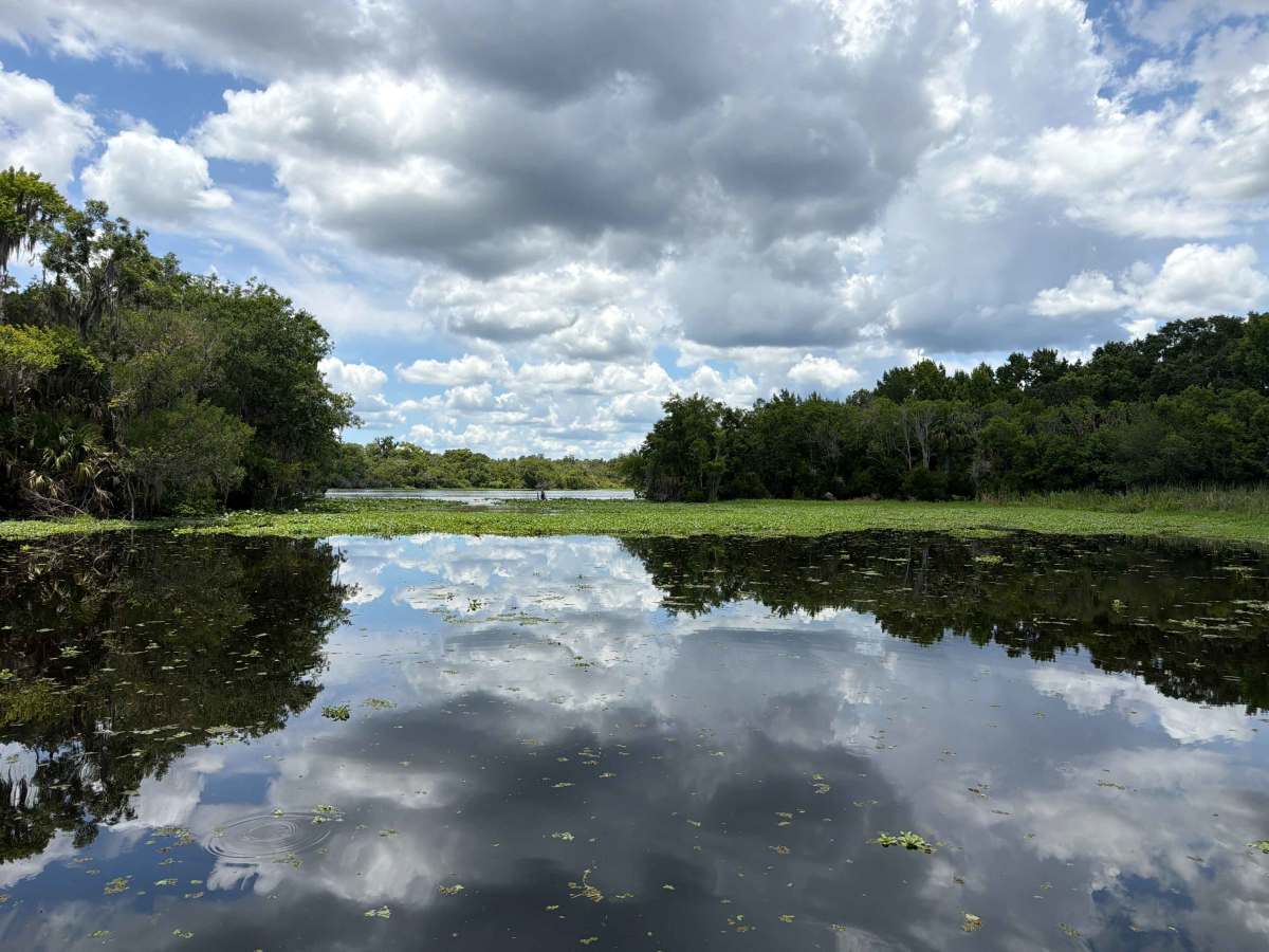 St Johns River Road photo 2