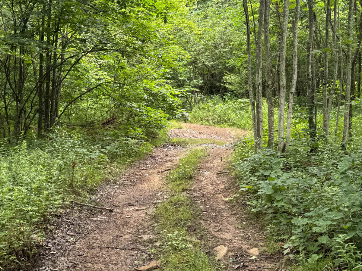 Trail 15 photo 3