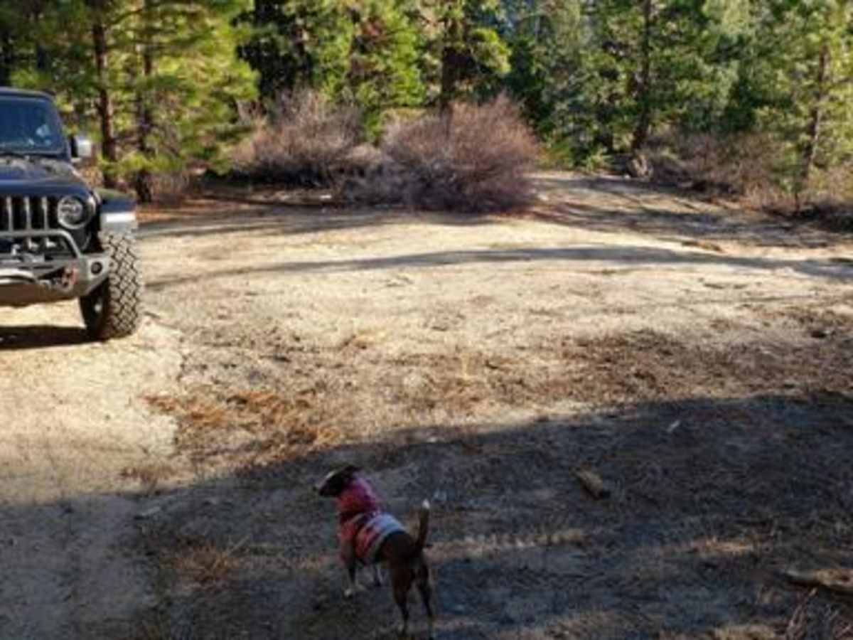 Wrights Lake Rd - 11N26A trail photo