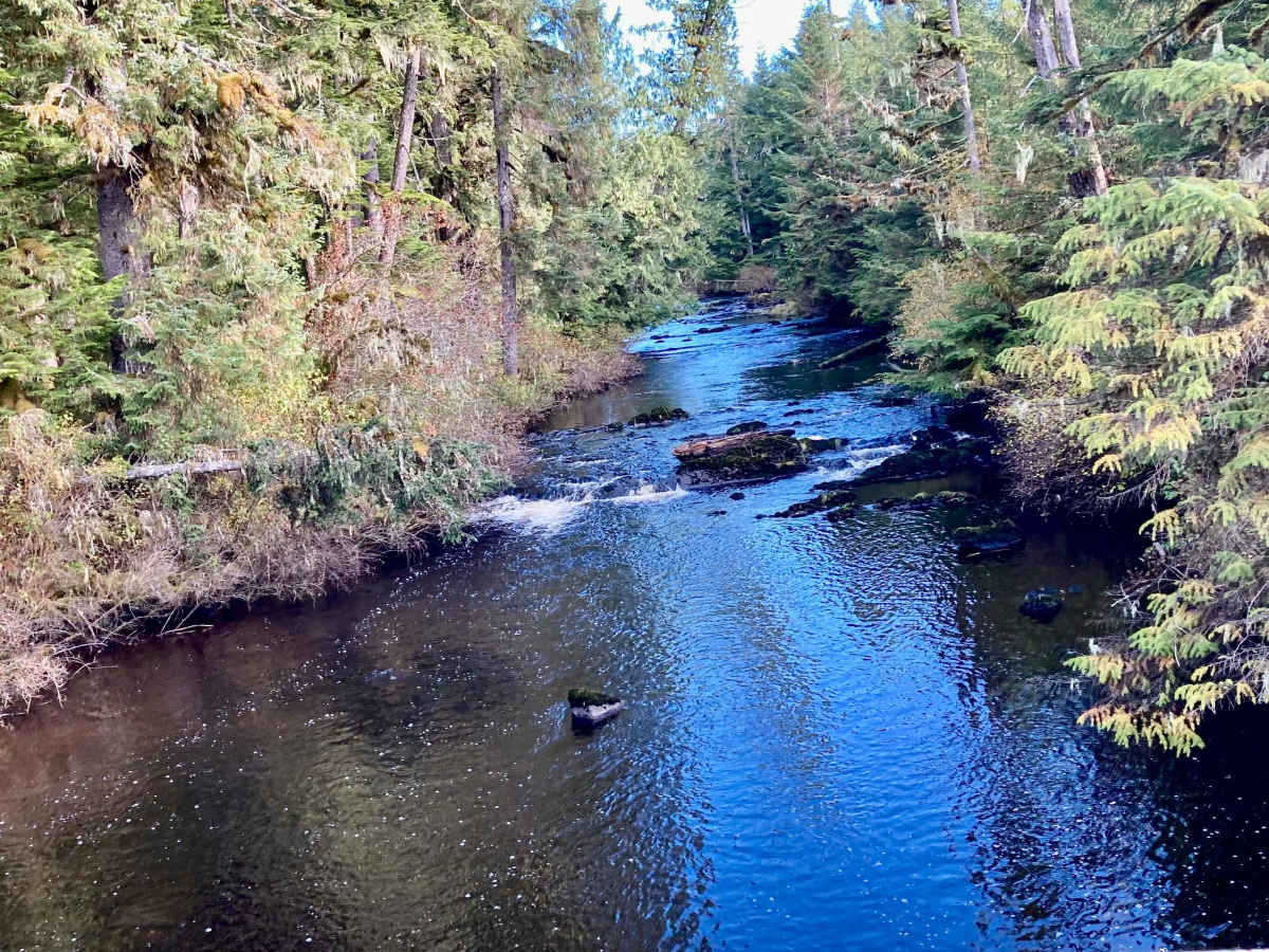 Gutchi Creek Road - FS 2058000 photo 2
