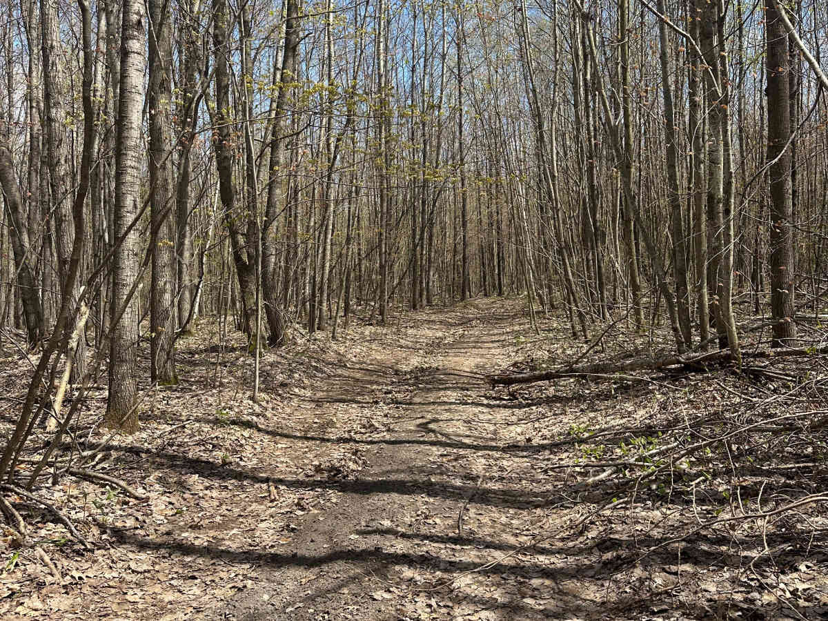 Frederic Route Cutover photo 5