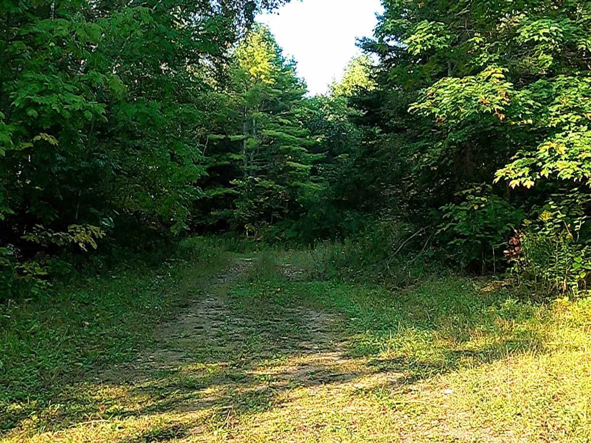 Hay Lake Spur A - FS 3413A photo 3
