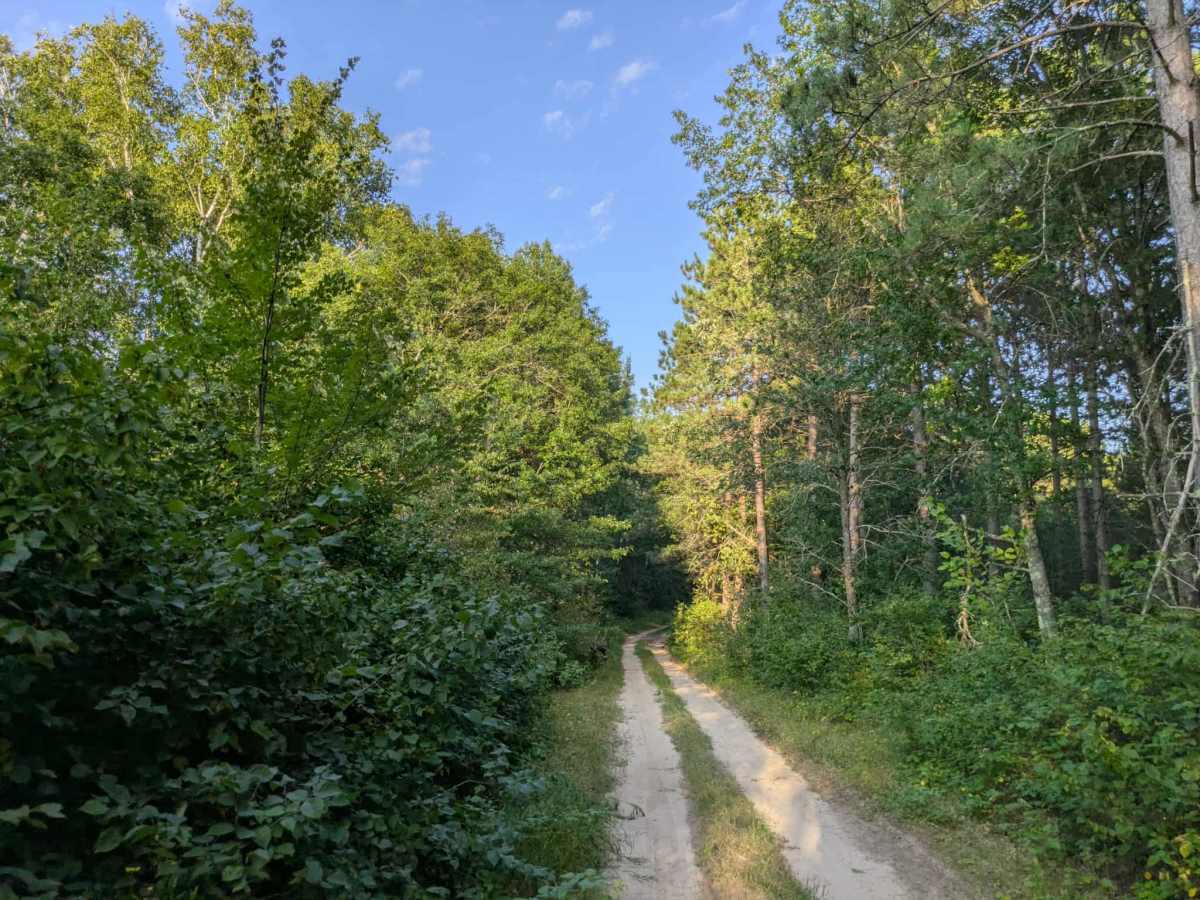 2971 trail photo
