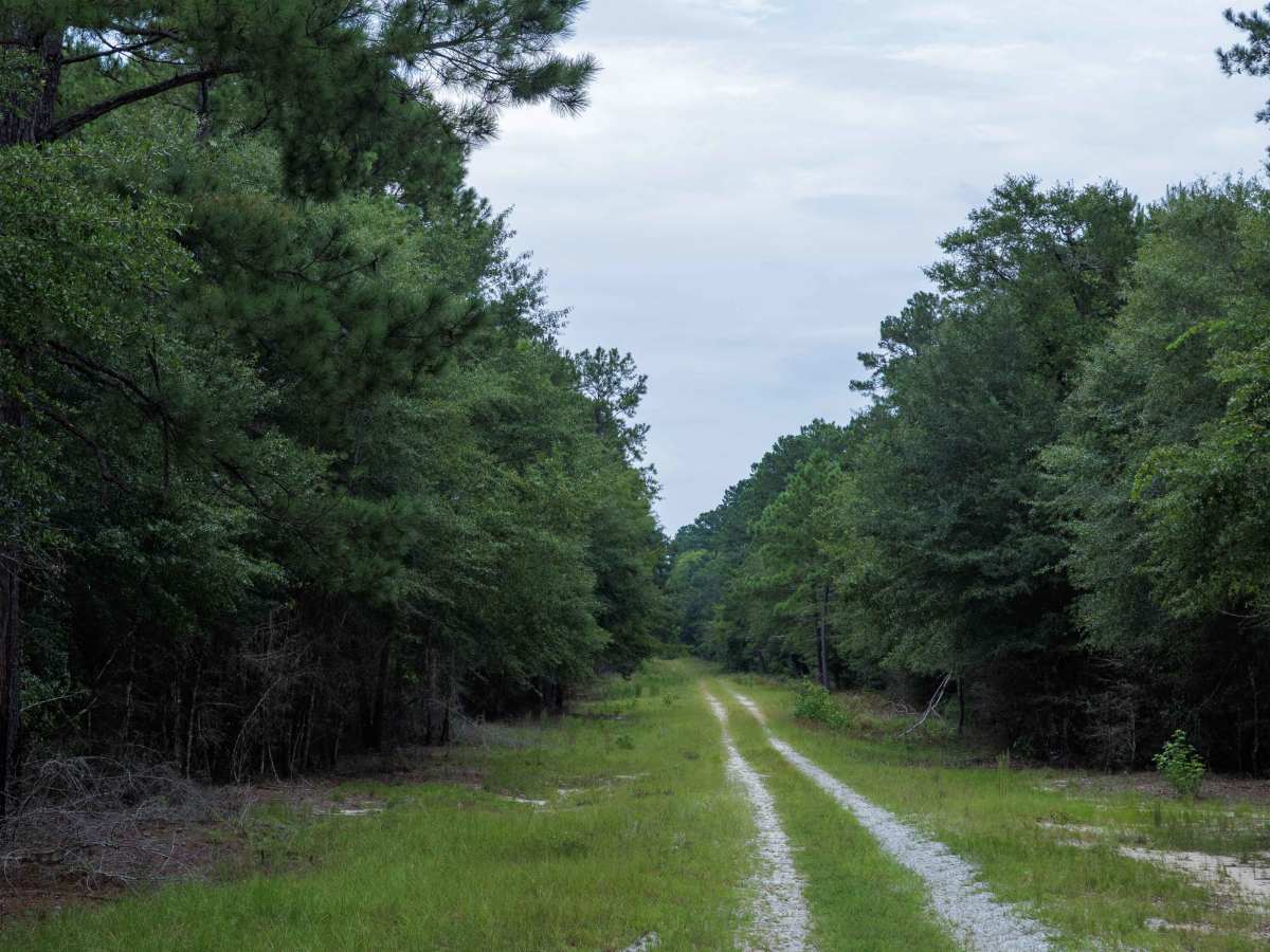 Briarpatch Lake Access photo 2
