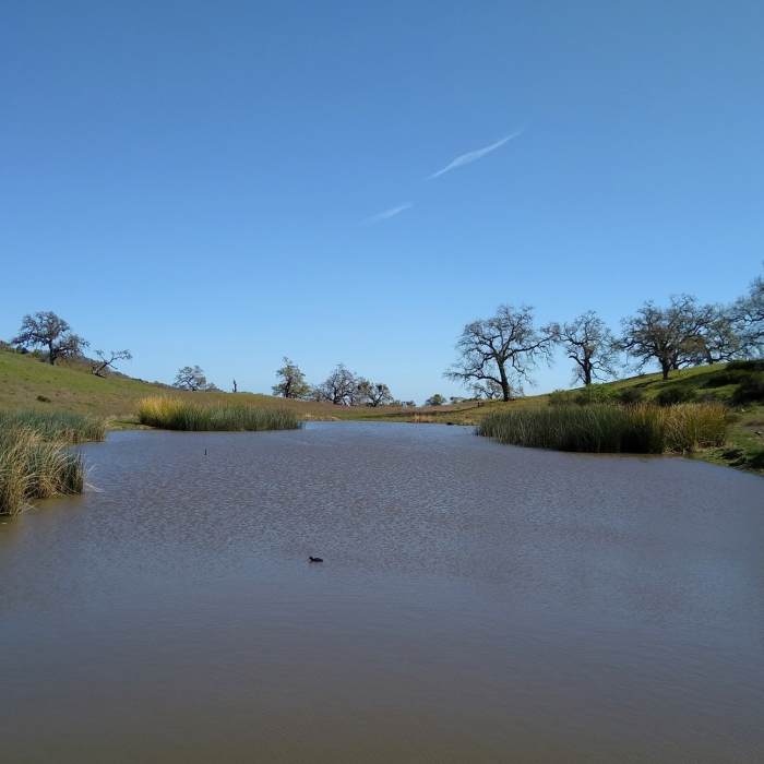 Tiny Eagle Lake is at the Foothill Trail/Hotel Trail junction. Near Foothill Trail