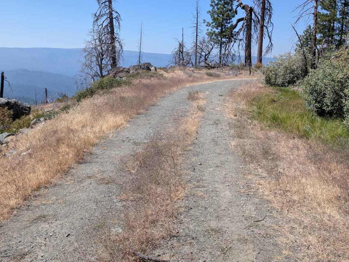 Smoky Road - FS 29N76 photo 5