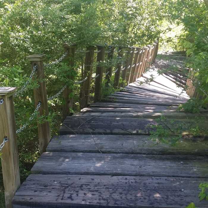 Near Cottonwood Creek Preserve