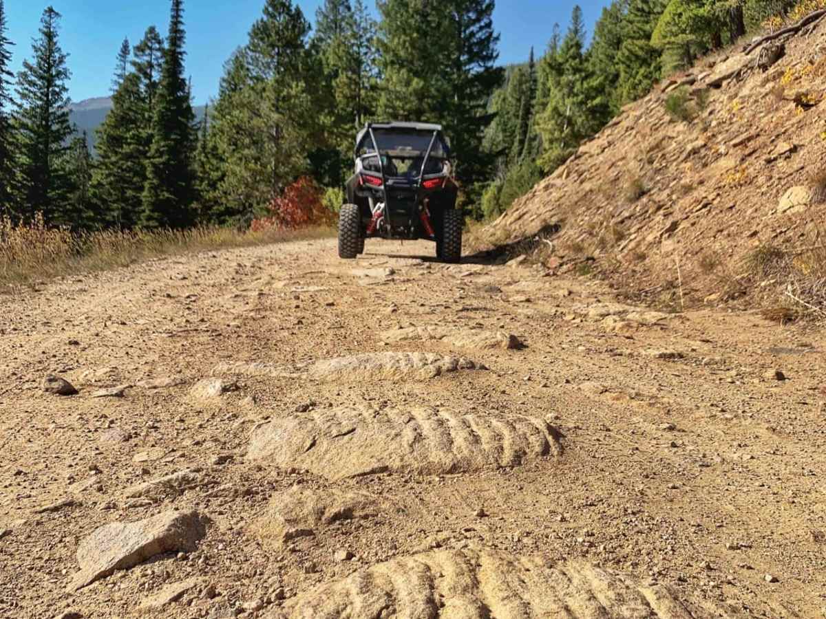 St. Mary's Peak Trail trail photo