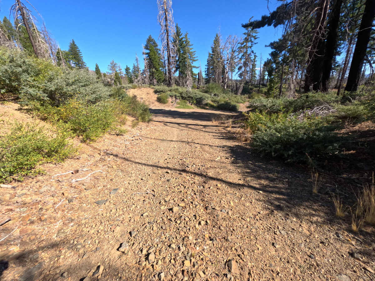 East Government Creek - FS 23N27 photo 2