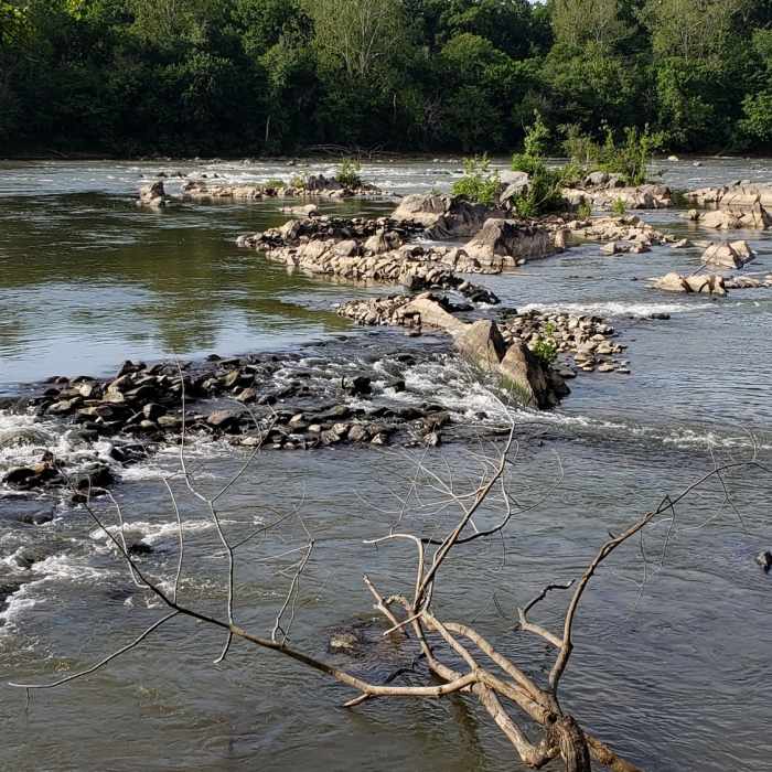 Near Stubblefield Falls Overlook Trail