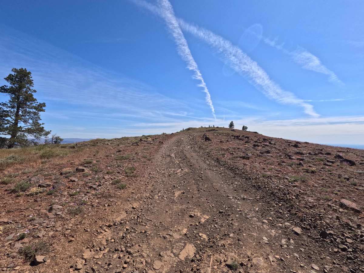 North Fork Spur Road photo 4