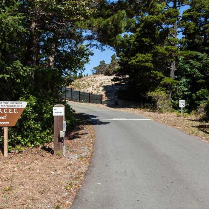 Near New River ACEC Trails Near New River ACEC Trails