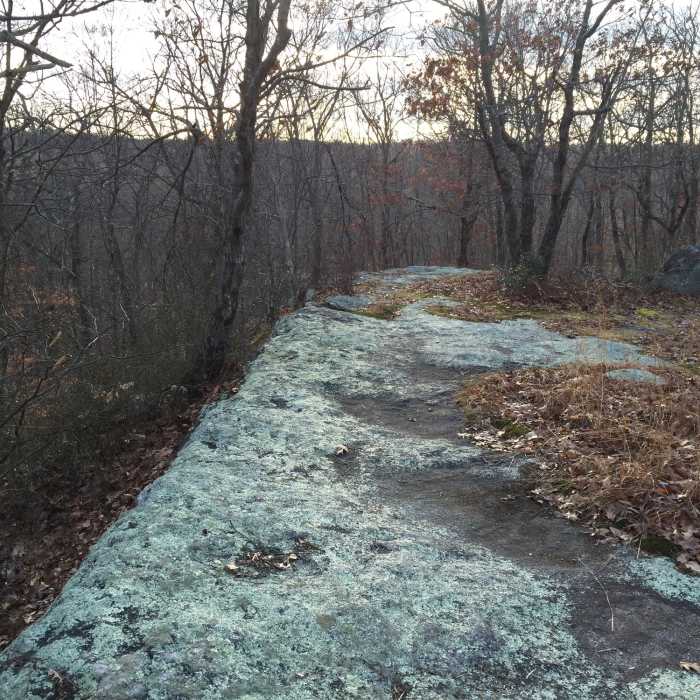 Near Devils Den Nature Preserve Perimeter