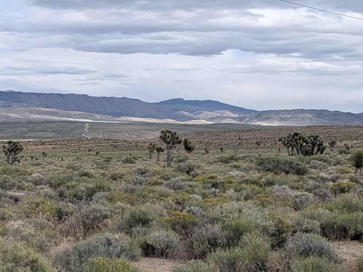 BLM SE741a photo 3