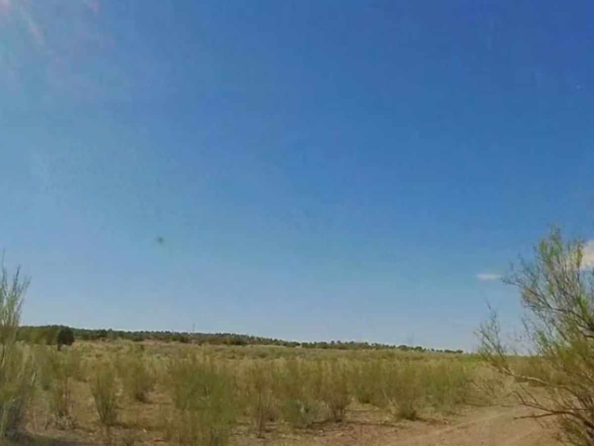 BLM 402 photo 4