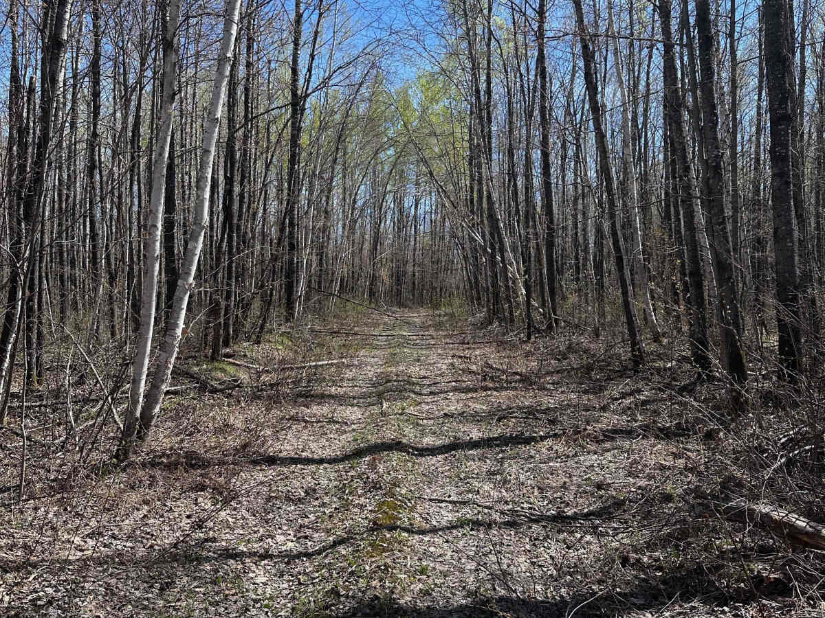 Hunter's Spur photo 3