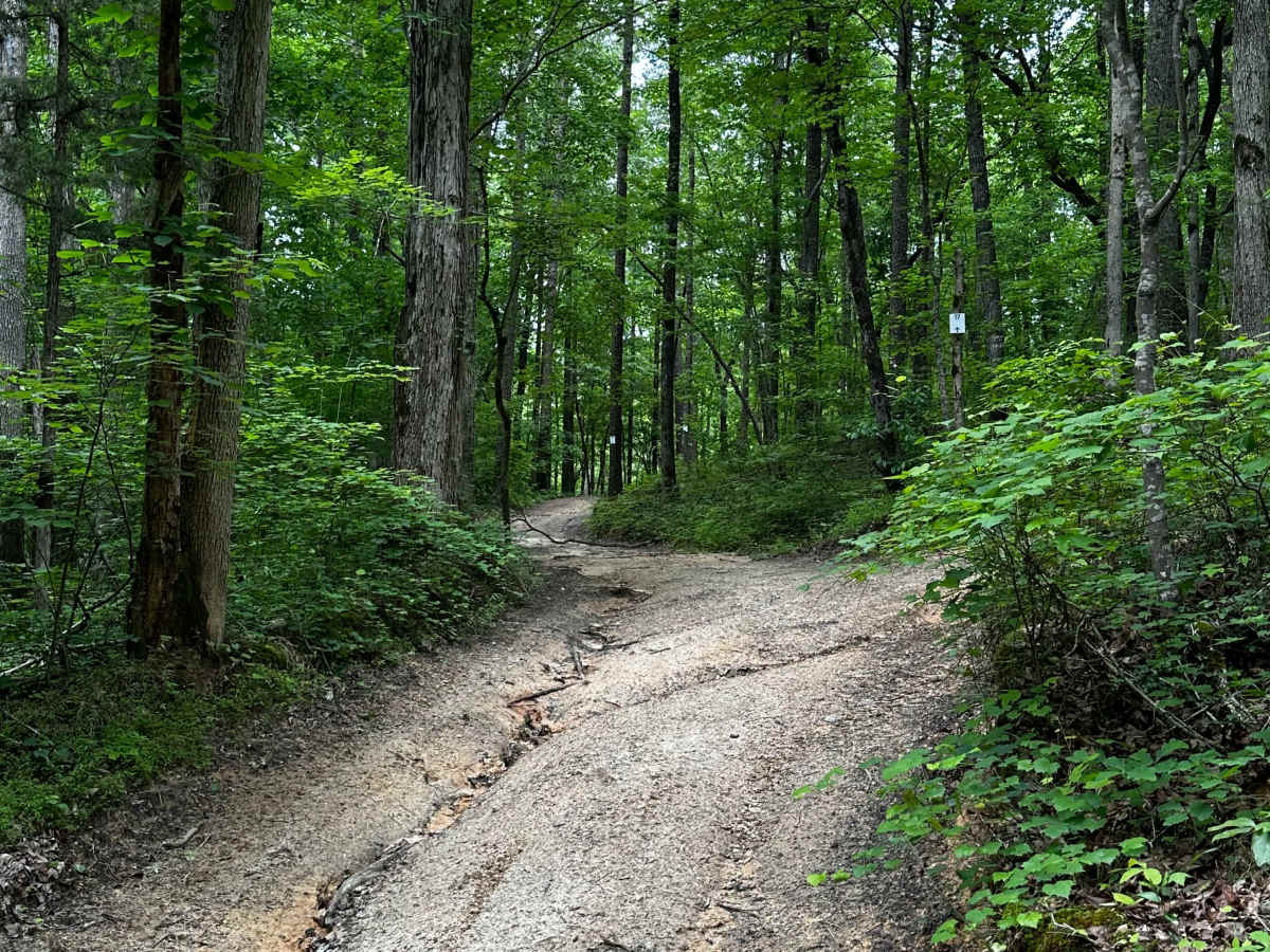 Trail 17 photo 5