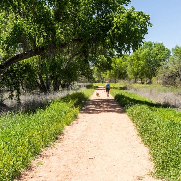 Near Verde River Greenway Trail