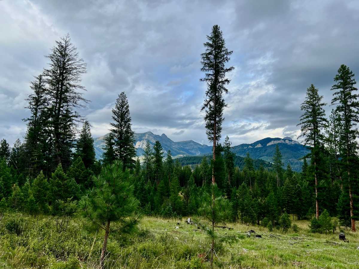 Rock Lake Road photo 2