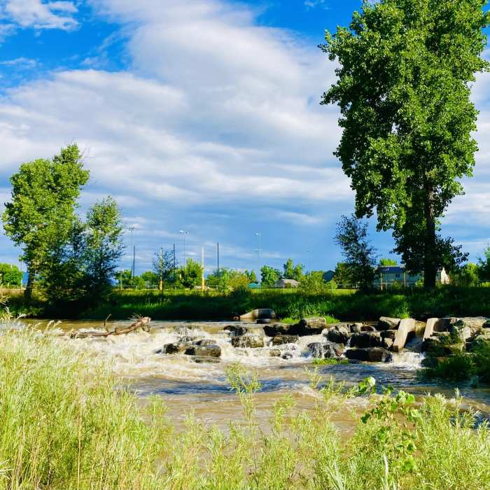 Near Clear Creek Trail: Miller Trailhead to Bass Lake