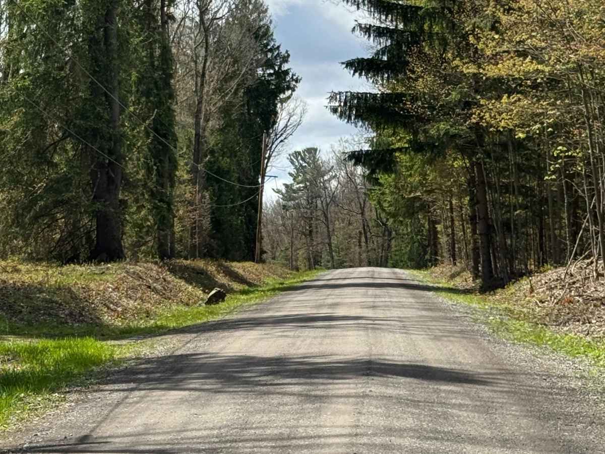 Kennedy Preserve Road photo 2
