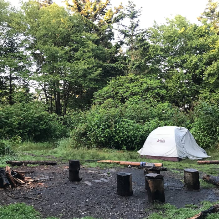 Near Mount Sterling Trail