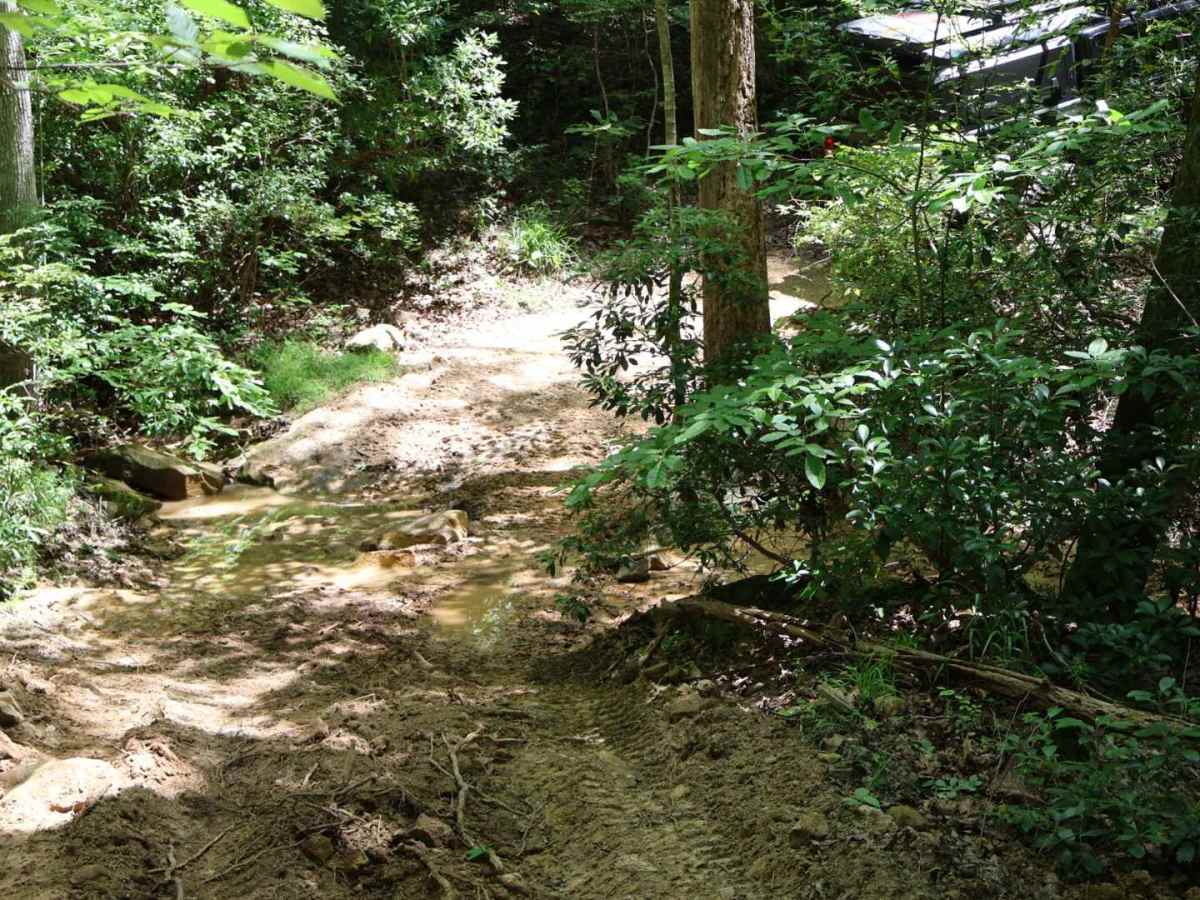 Shingle Loop photo 6