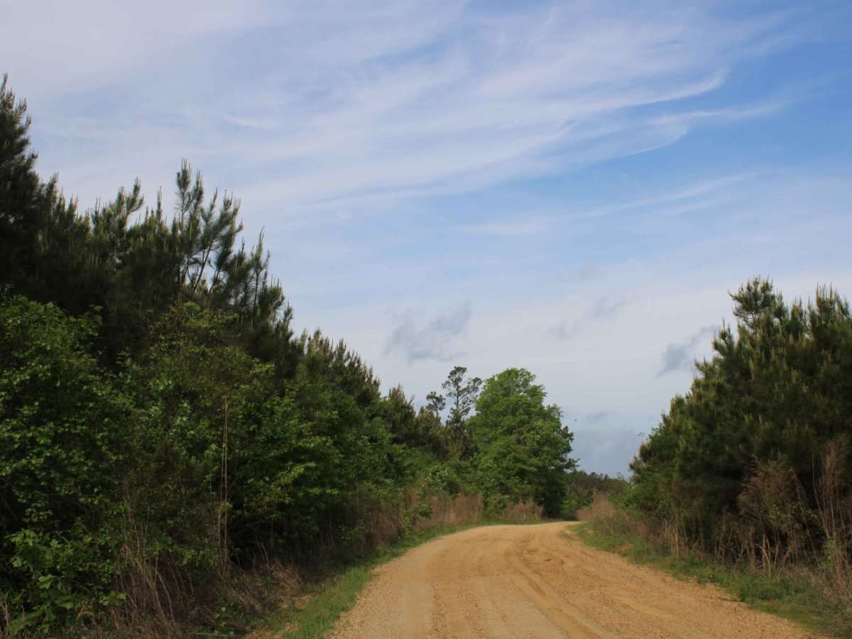 The Arkansas Overland Route - TrailHawk Loop - Section 22 photo 3