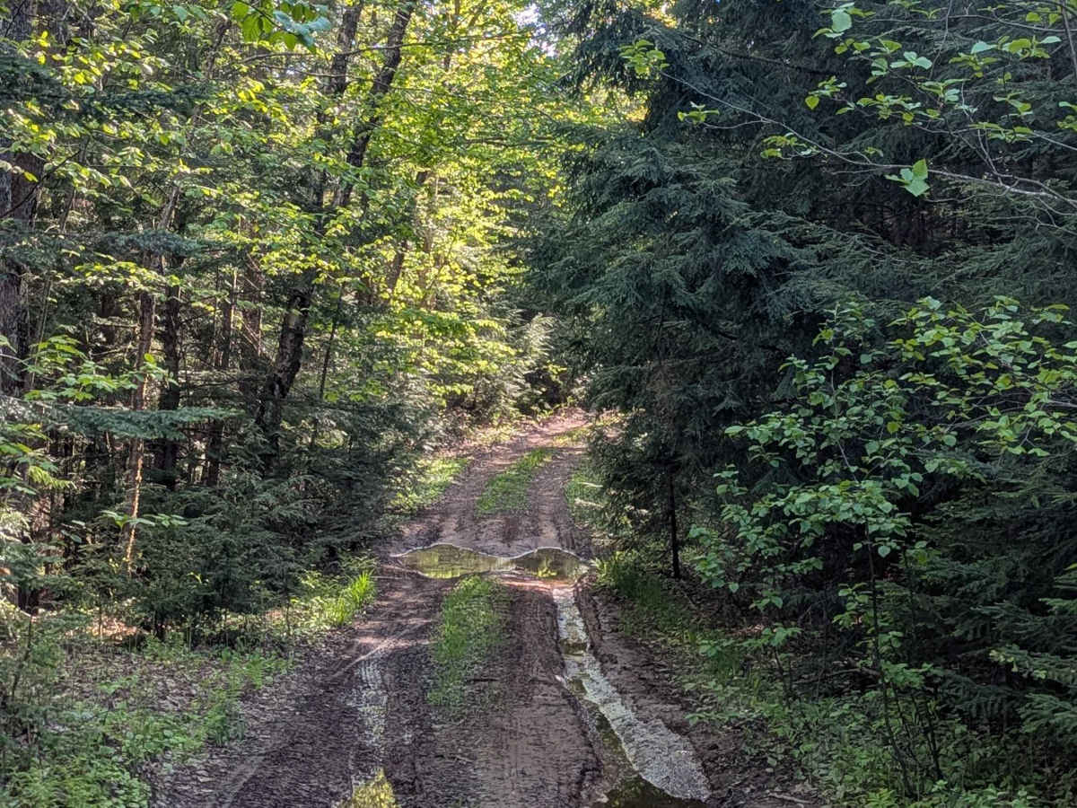 Wilson Truck Trail photo 5
