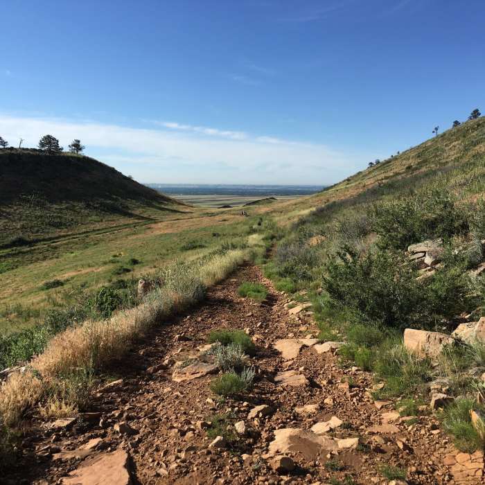 Near Coyote Ridge Trail