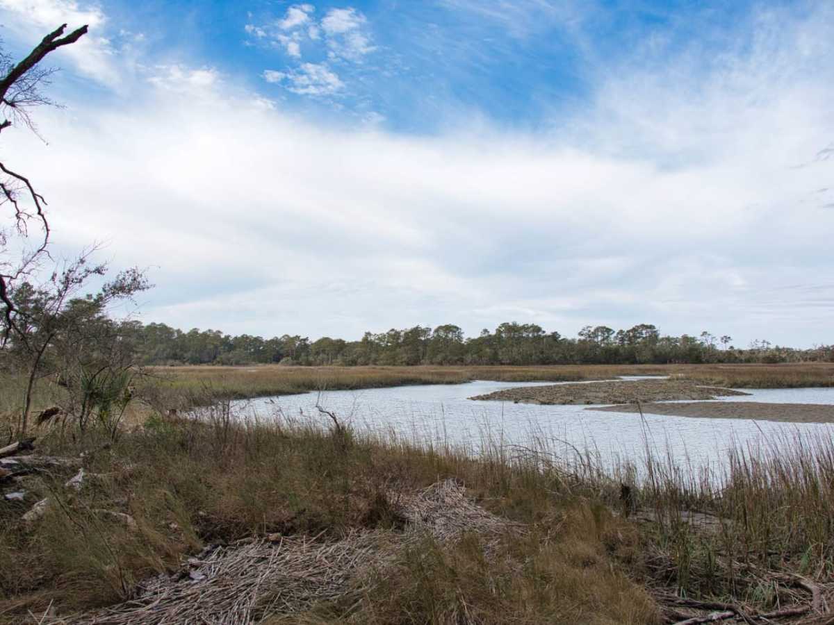 Botany Bay Plantation photo 6