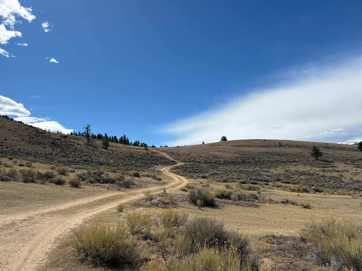 Sawmill Ridge photo 3
