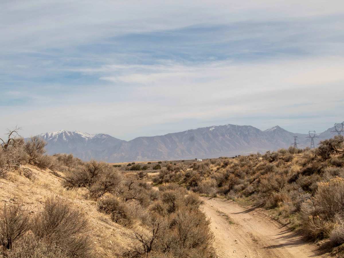 Little Moab Wash photo 6