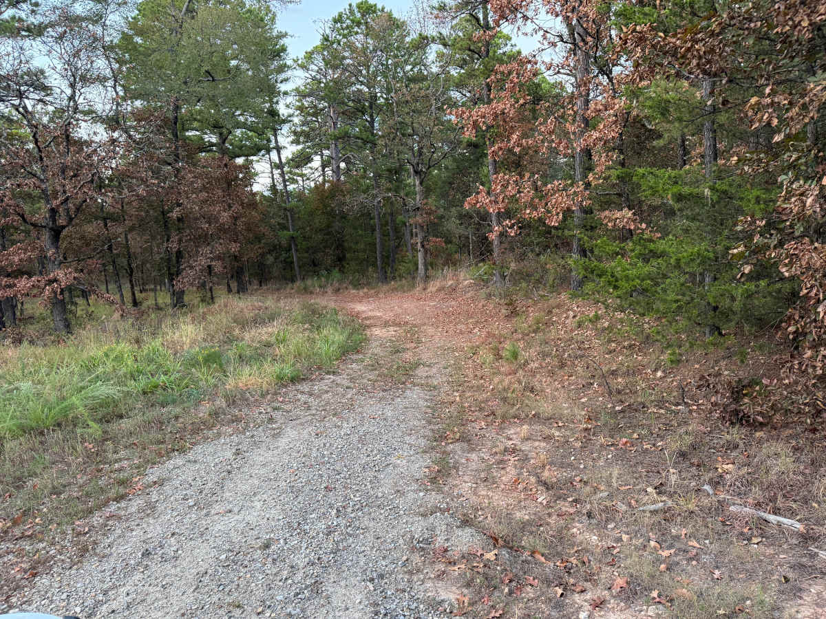 Calico Road trail photo