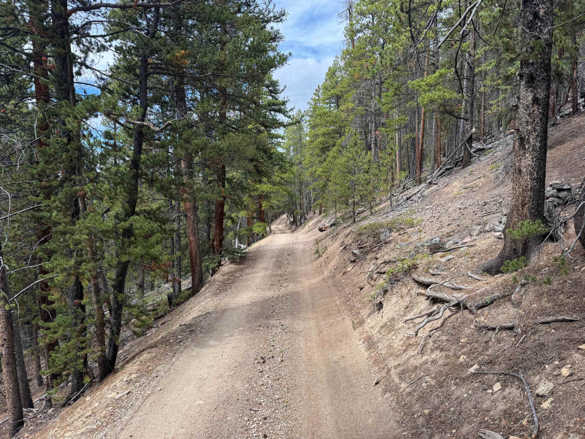 Cooper Loop photo 3