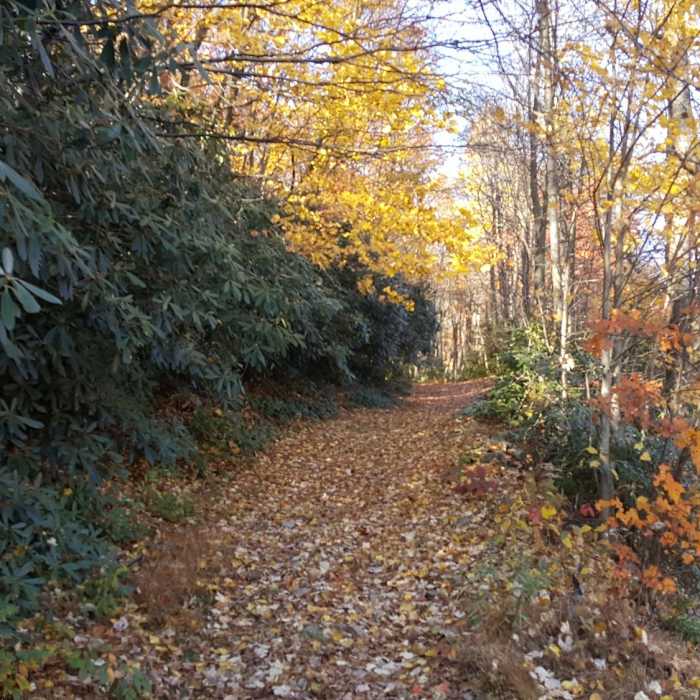 Near Pulpit Rock and The Pinnacle