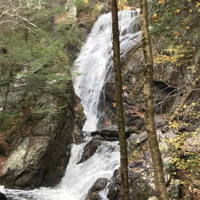 Near Campbell Falls Trail (Yellow)