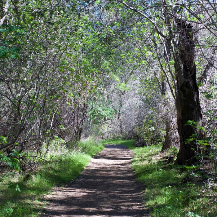 Near Old Pinnacles Trail
