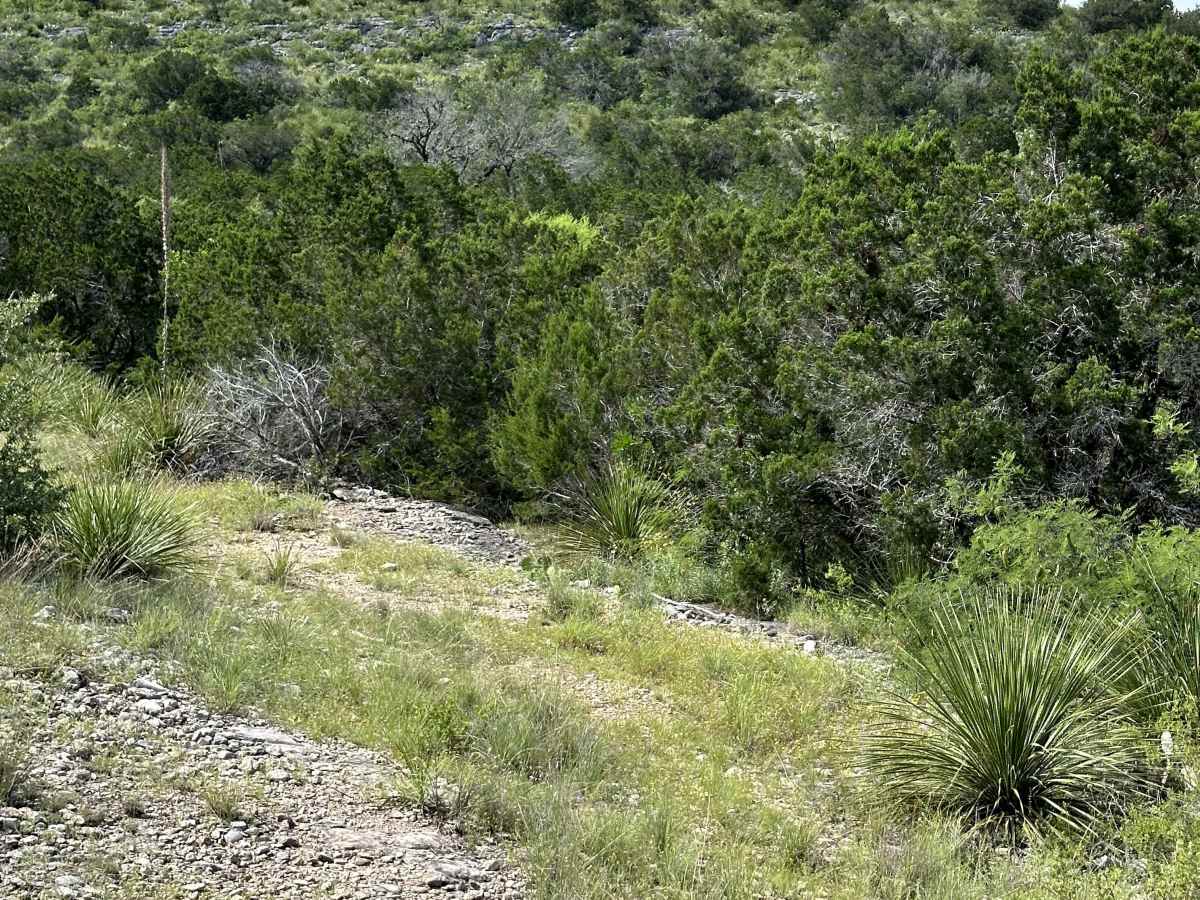 CATPAW Canyon photo 3